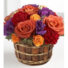 Vibrant Views Basket