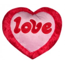 Heart Pillow w/ Love Message