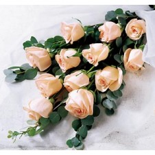 1 Dozen Peach Roses in a Nice Bouquet