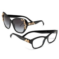 Ladies Eyewear