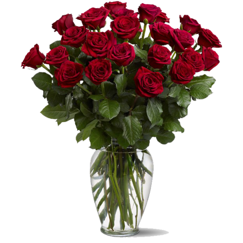 2 Dozen Red Roses In A Vase