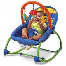 Infant to Toddler Rocker