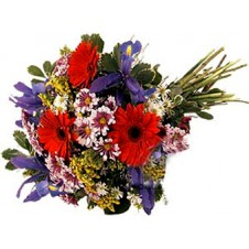 Bright Hand-Tied Flower Bouquet featuring Gerbera, Iris, Daisies and More!