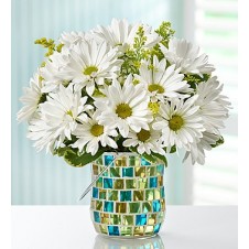 Daisy Garden in a Vase