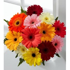 Colorful World Gerbera Daisy in a Bouquet